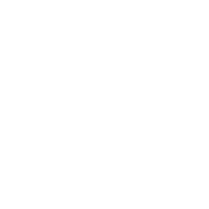 Hexagon Decal White
